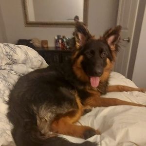 Meet your Posher, Valerie